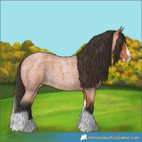 Horse Color:Bay Roan Splash Tobiano