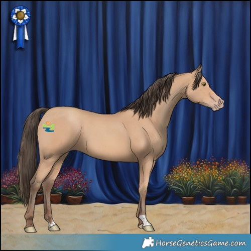 Horse Color:Amber Champagne 