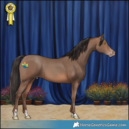 Horse Color:Sable Champagne 