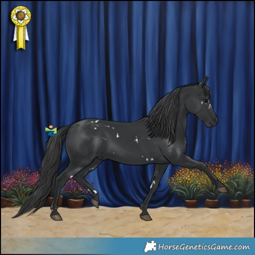 Horse Color:White Spotted Black 