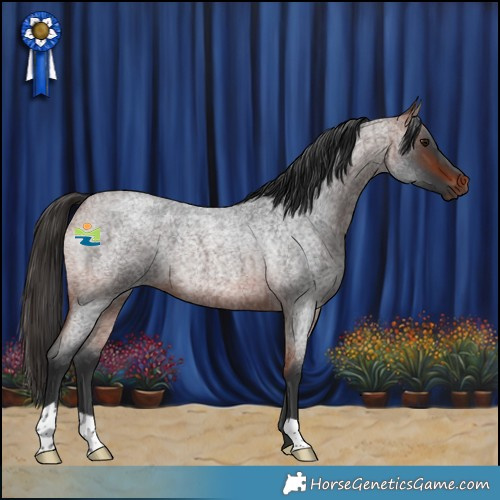 Horse Color:Bay Roan