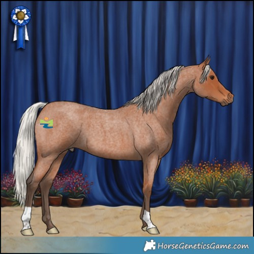 Horse Color:Silver Bay Roan