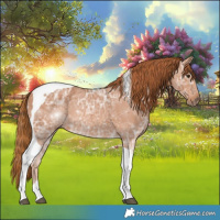 Horse Color:Chestnut Ice Tobiano 
