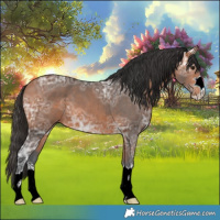 Horse Color:Bay Ice 
