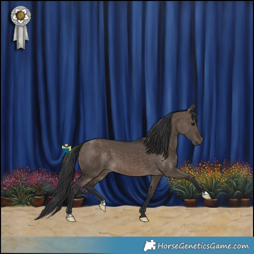 Horse Color:Brown Dun 