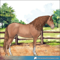 Horse Color:Gold Champagne Sabino