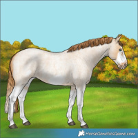 Horse Color:Red Dun Roan Splash Frame Rabicano