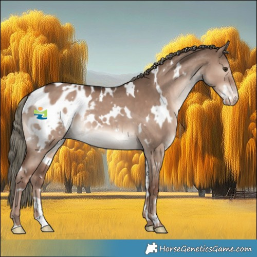Horse Color:White Spotted Liver Red Dun Mushroom Appaloosa