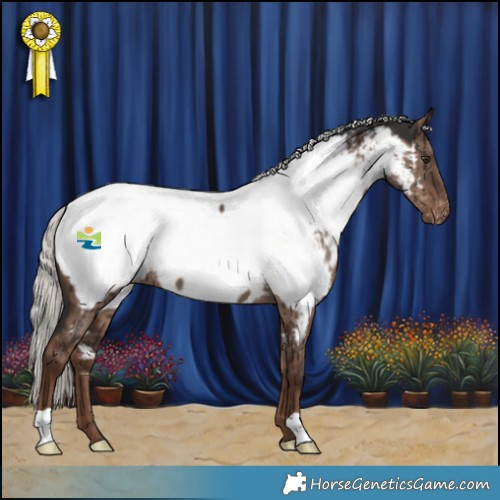 Horse Color:Liver Red Dun Mushroom Appaloosa Brindle 