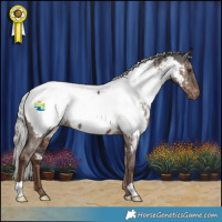 Horse Color:Liver Red Dun Mushroom Appaloosa Brindle 