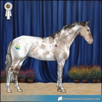 Horse Color:White Spotted Liver Red Dun Mushroom Appaloosa