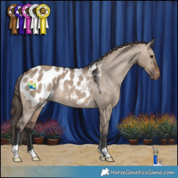 Horse Color:Brown Dun Blanket Rabicano