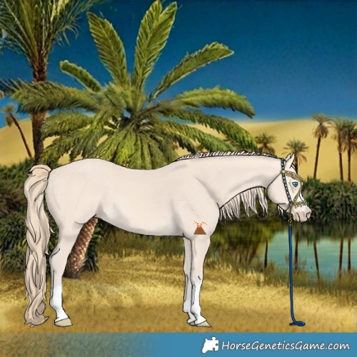 Horse Color:Perlino 