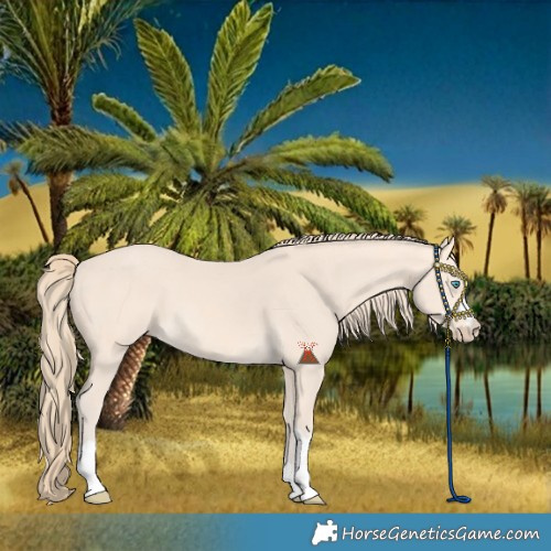 Horse Color:Perlino 