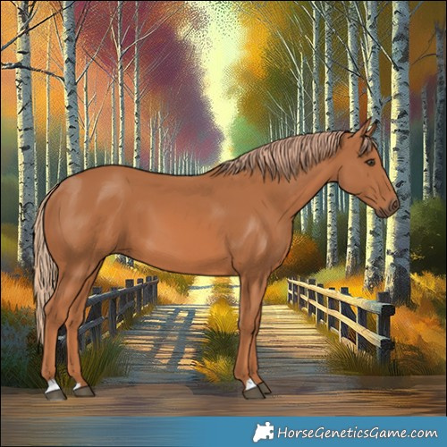 Horse Color:Chestnut 