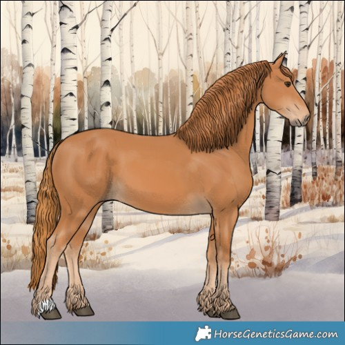 Horse Color:Chestnut 