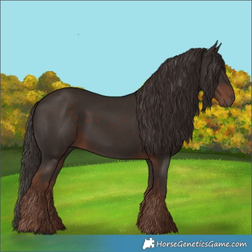 Horse Color:Liver Chestnut 