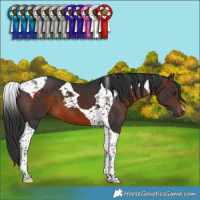 Horse Color:Brown Tobiano 