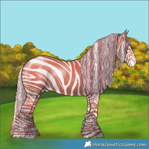 Horse Color:Silver Amber Champagne Frame 