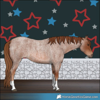 Horse Color:Red Roan Tobiano 