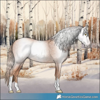 Horse Color:Gray Gold Champagne Tobiano 