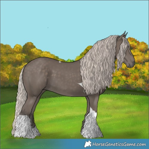 Horse Color:Silver Black Tobiano 