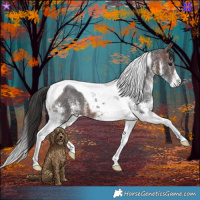 Horse Color:White Spotted Brown Tobiano 