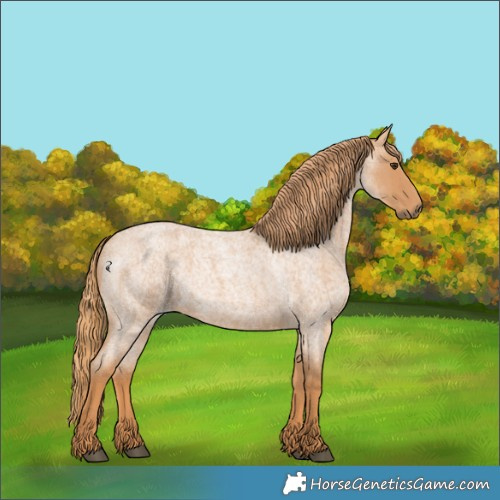 Horse Color:Red Roan 
