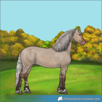 Horse Color:Silver Brown Dun Varnish 