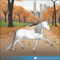Horse Color:Chestnut Sabino