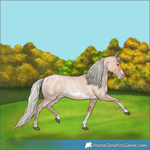 Horse Color:Silver Blue Roan Pearl Tobiano Frame 
