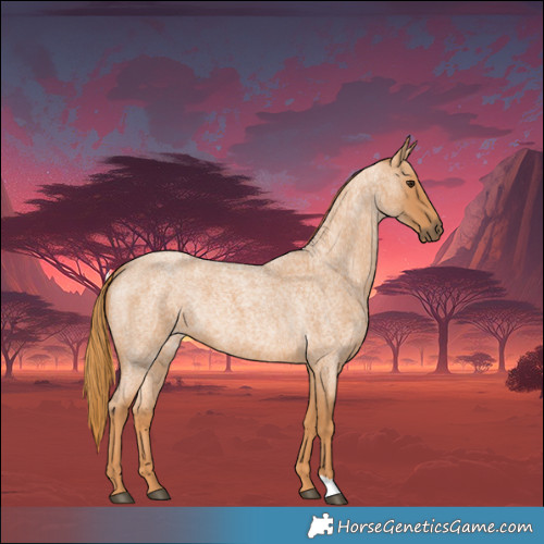 Horse Color:Red Roan 