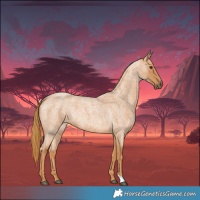 Horse Color:Red Roan 