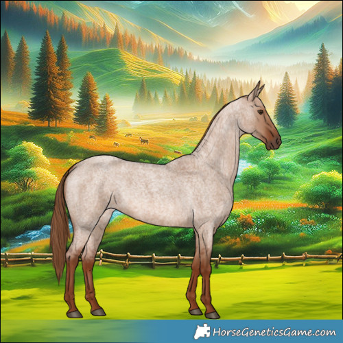 Horse Color:Red Dun Roan 