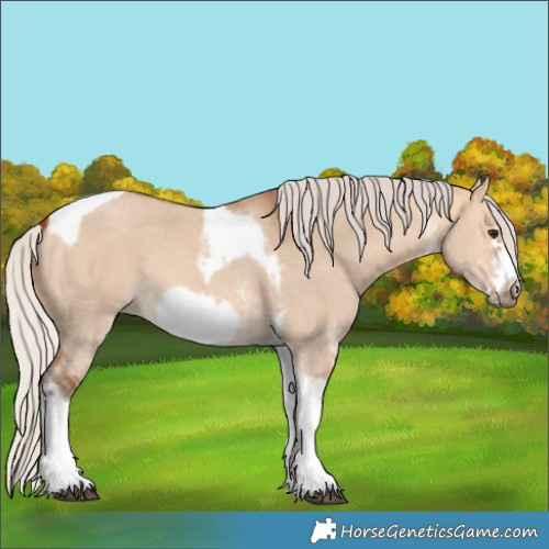 Horse Color:Silver Bay Dun Sabino Tobiano Frame Rabicano 