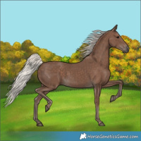 Horse Color:Silver Black 