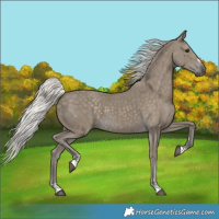 Horse Color:Silver Smoky Black 