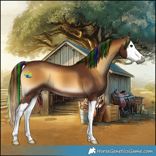 Horse Color:Gray Painted Bay Onyx Splash