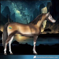 Horse Color:Gray Red Onyx 