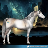 Horse Color:Gray Red Onyx 