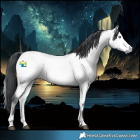 Horse Color:Bay Chinchilla Onyx 