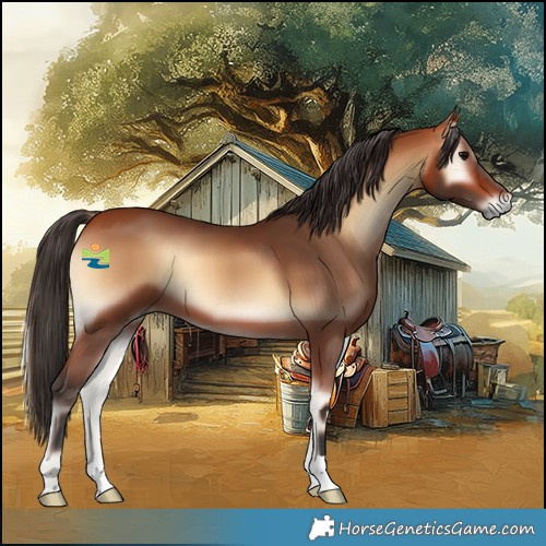 Horse Color:Bay Onyx