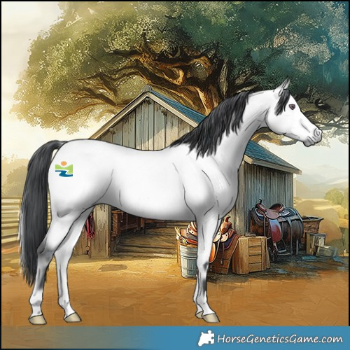 Horse Color:Bay Chinchilla Onyx Rabicano 