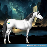 Horse Color:Bay Chinchilla Onyx Rabicano