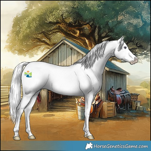 Horse Color:Chestnut Chinchilla Splash Rabicano 