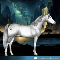 Horse Color:Gray Bay Chinchilla Onyx Splash Rabicano 