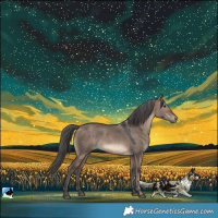 Horse Color:Brown Dun Merle 