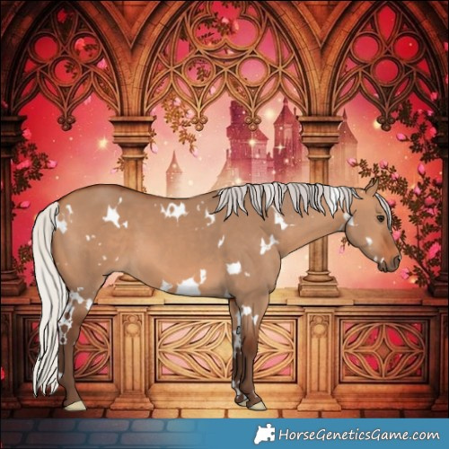 Horse Color:White Spotted Silver Bay Dun 