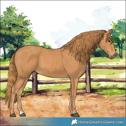 Horse Color:Chestnut 