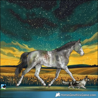 Horse Color:Grullo Merle Sabino Splash Rabicano Brindle